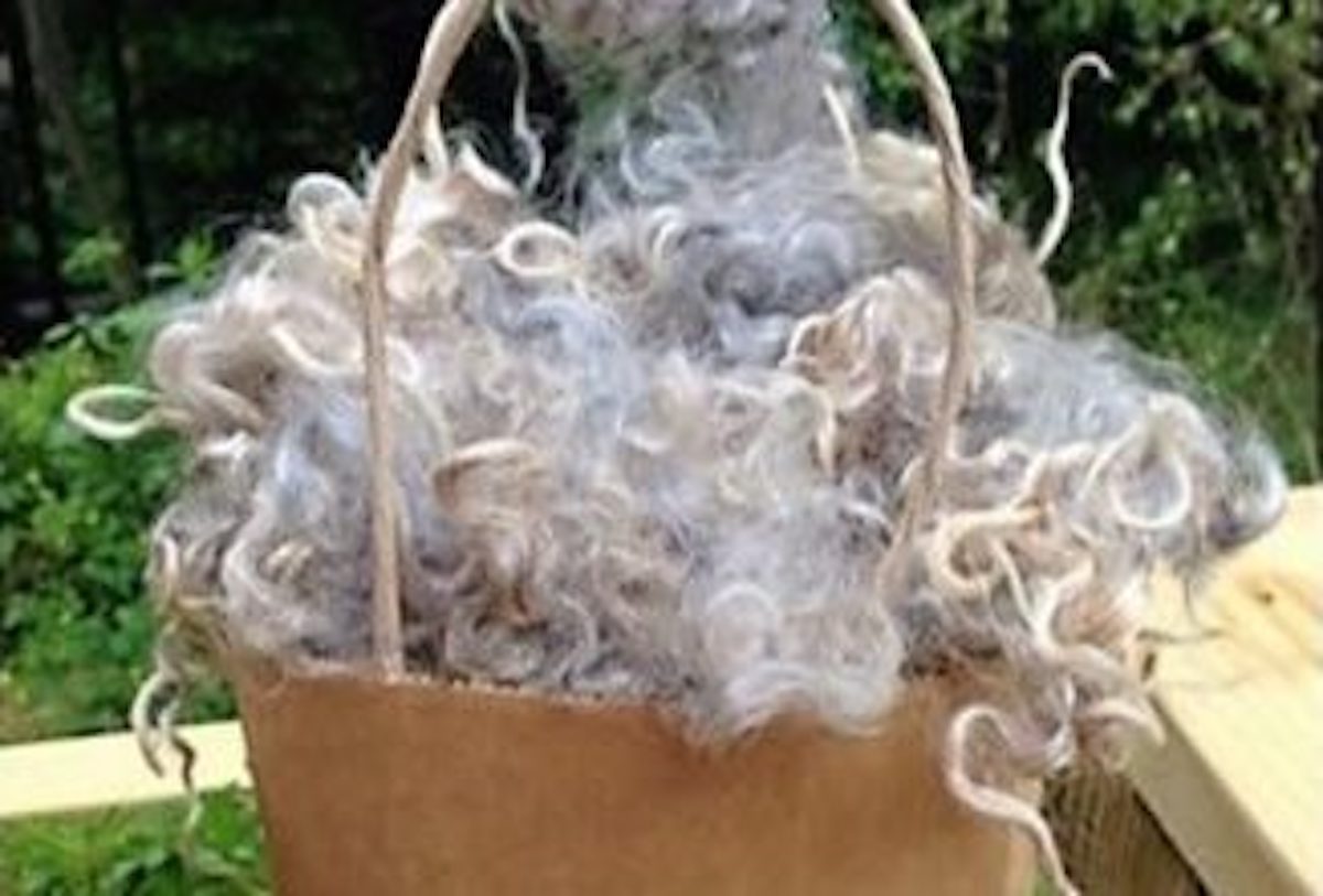 Wool Knowledge is Power